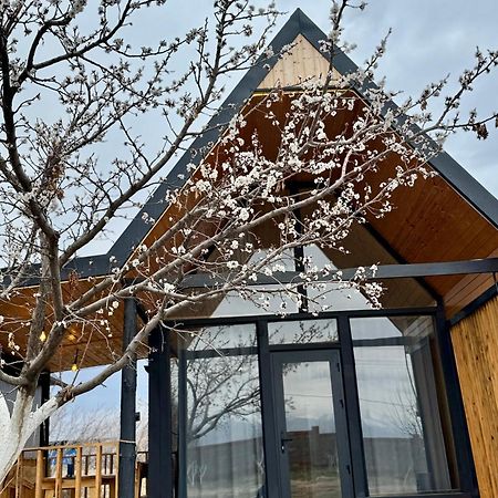 Coral Houses Tossor Exterior photo