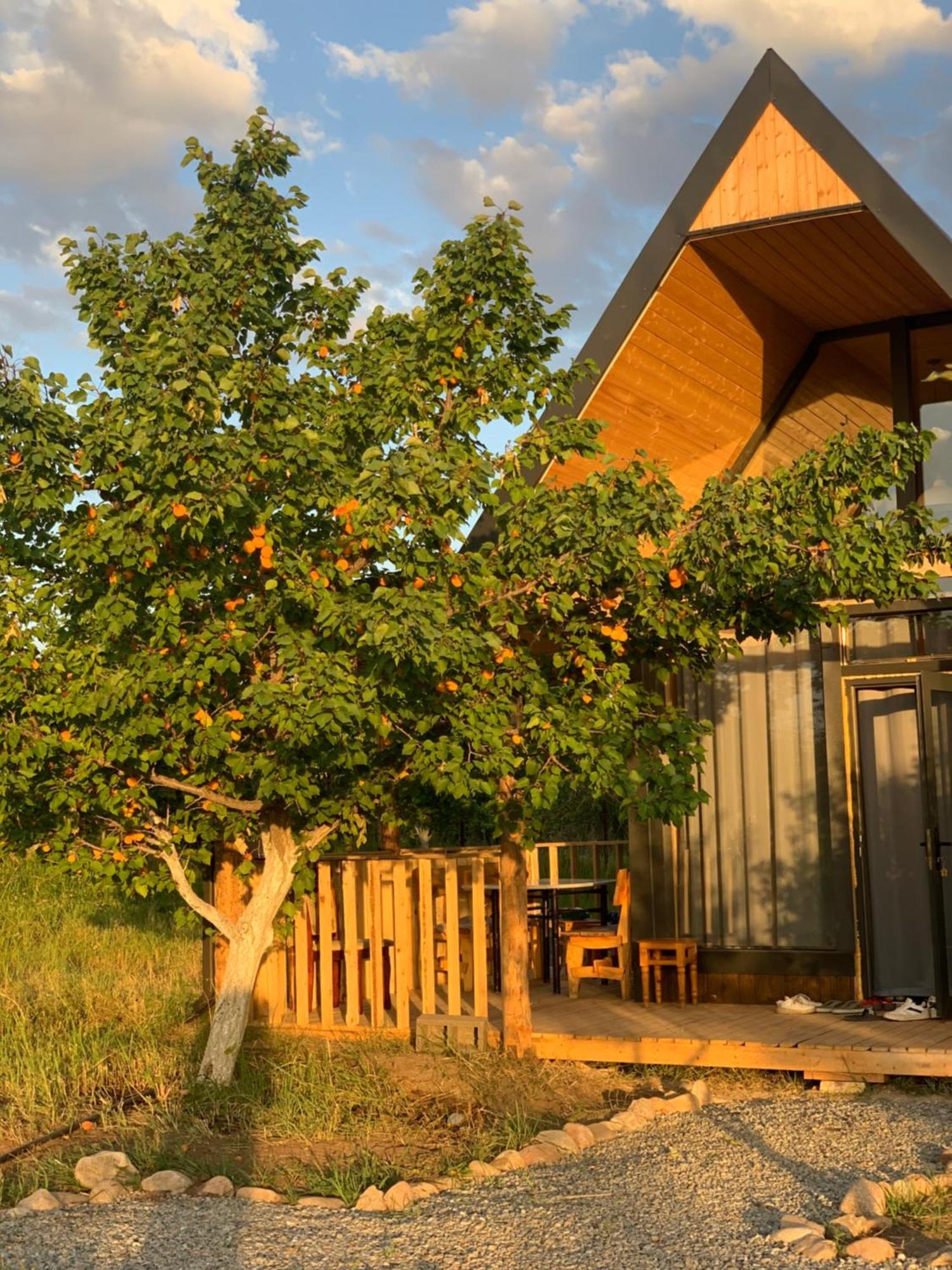 Coral Houses Tossor Exterior photo